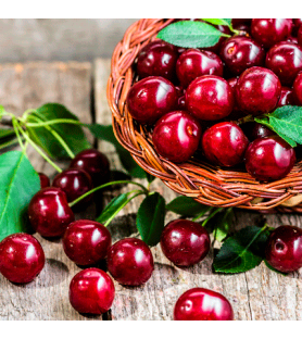 Black Cherry Natural Flavour Liposoluble